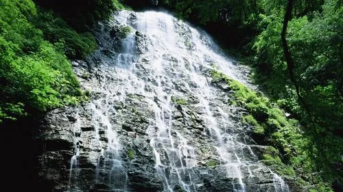 无人化高性能智能